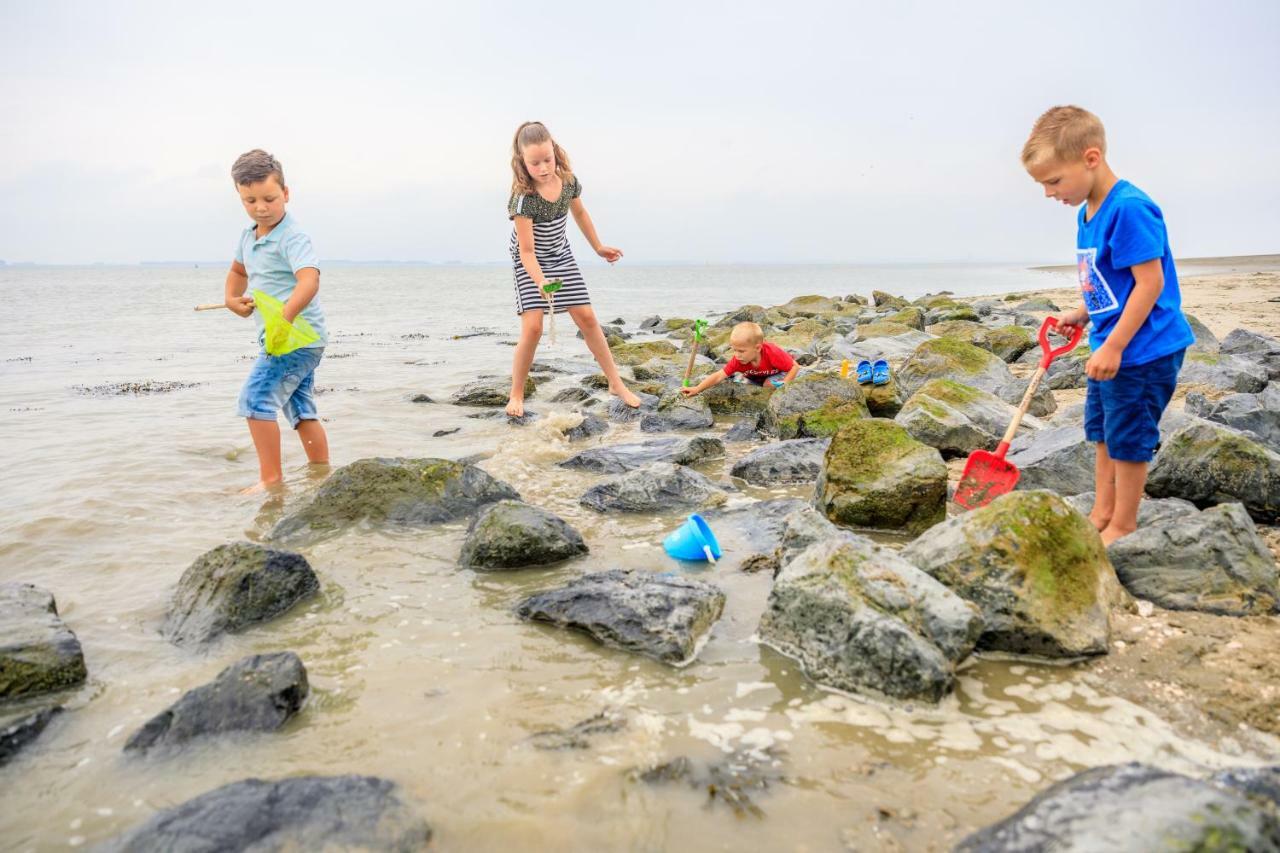 Camping Scheldeoord Baarland Extérieur photo