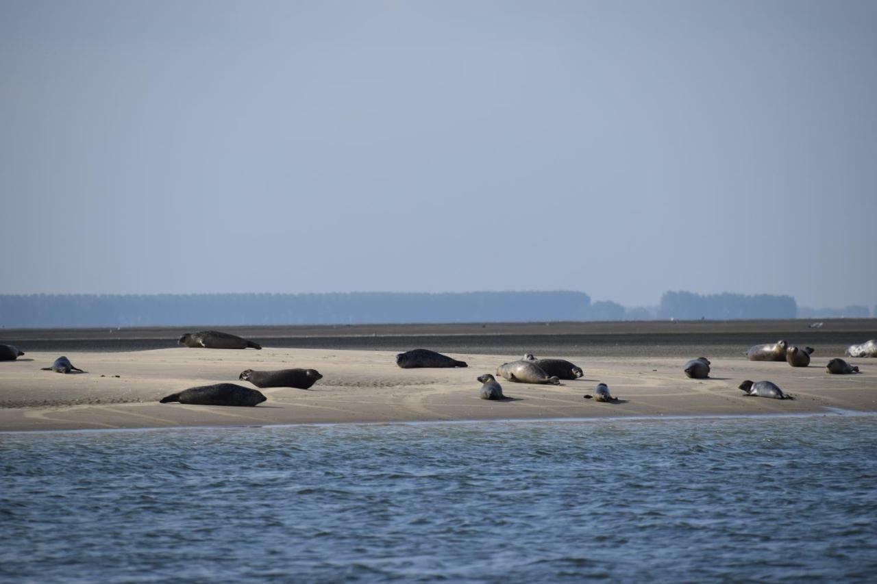 Camping Scheldeoord Baarland Extérieur photo